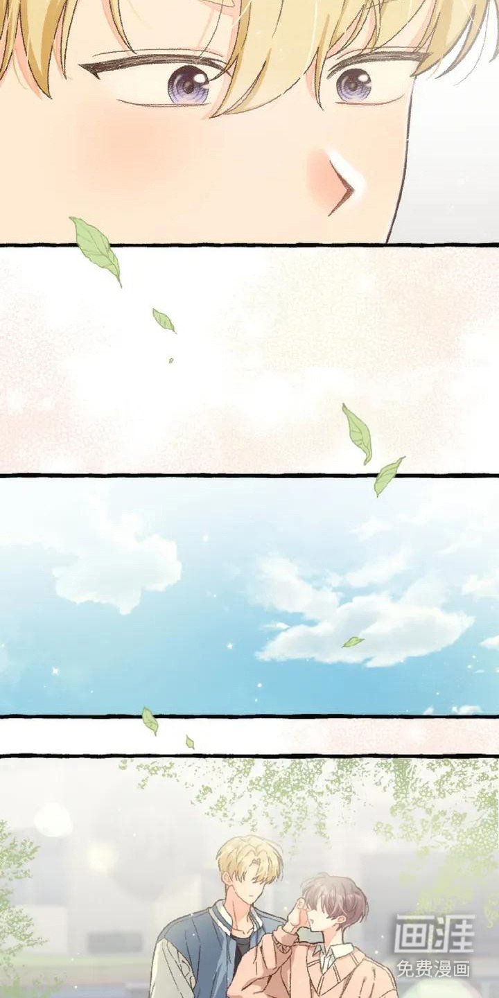 第5章：香气