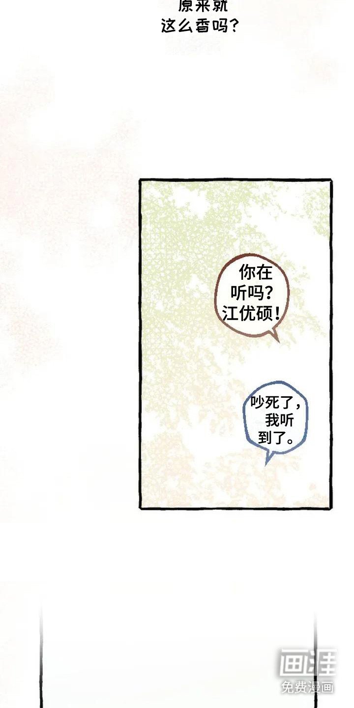第5章：香气