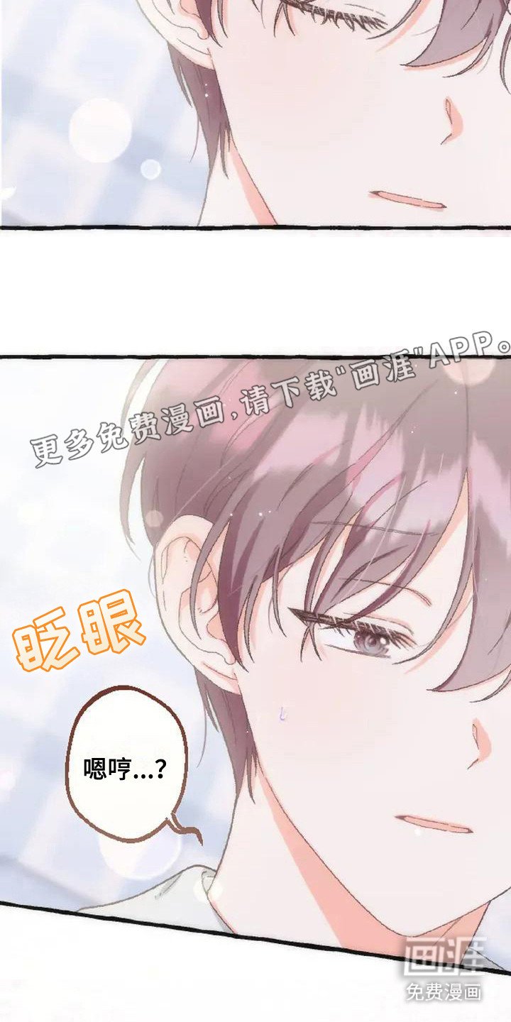 第6章：收留
