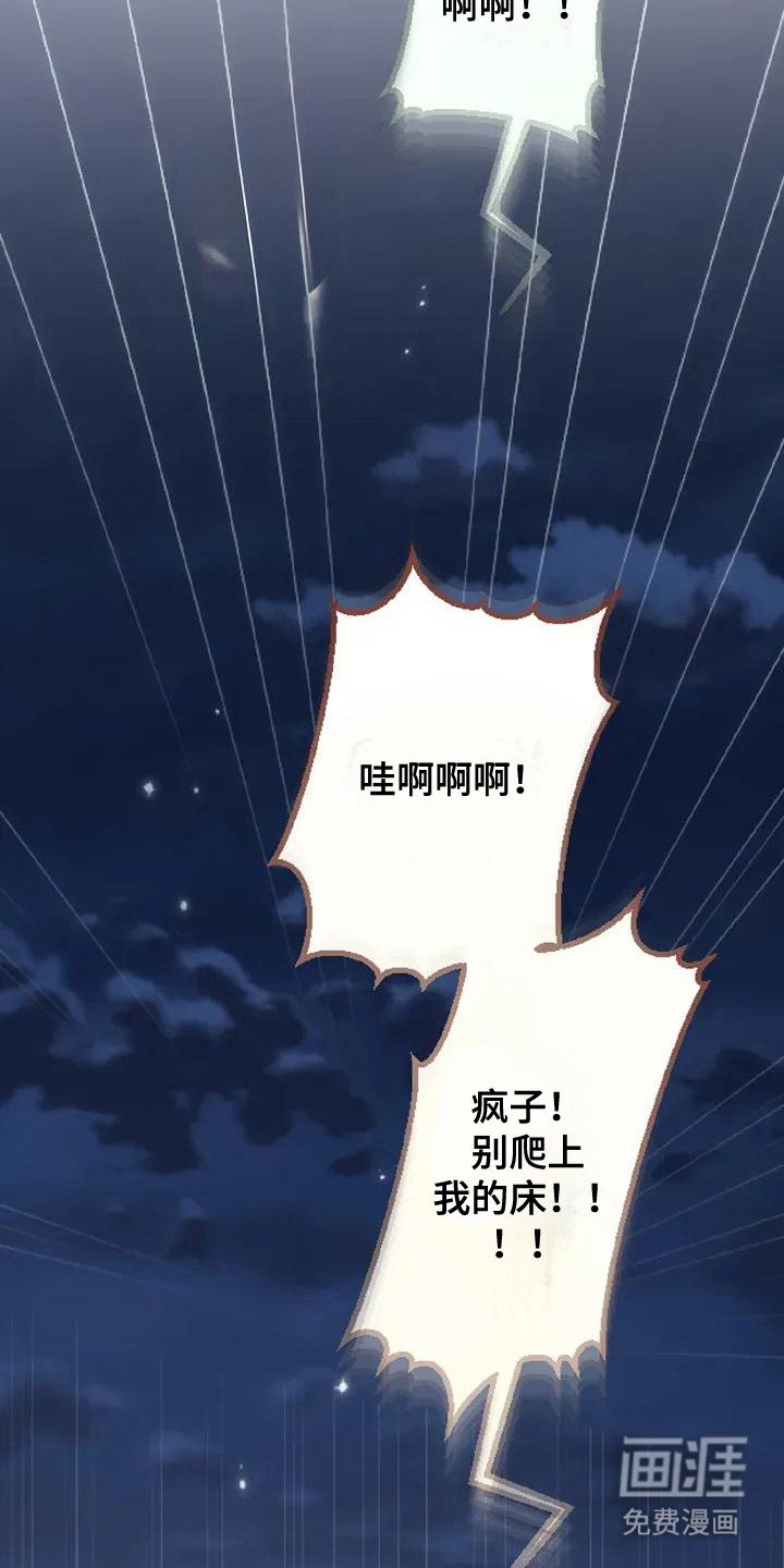 第6章：收留