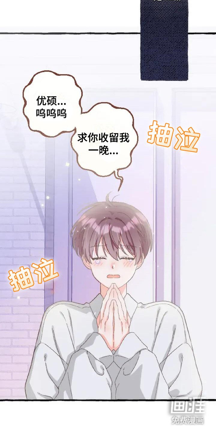 第6章：收留