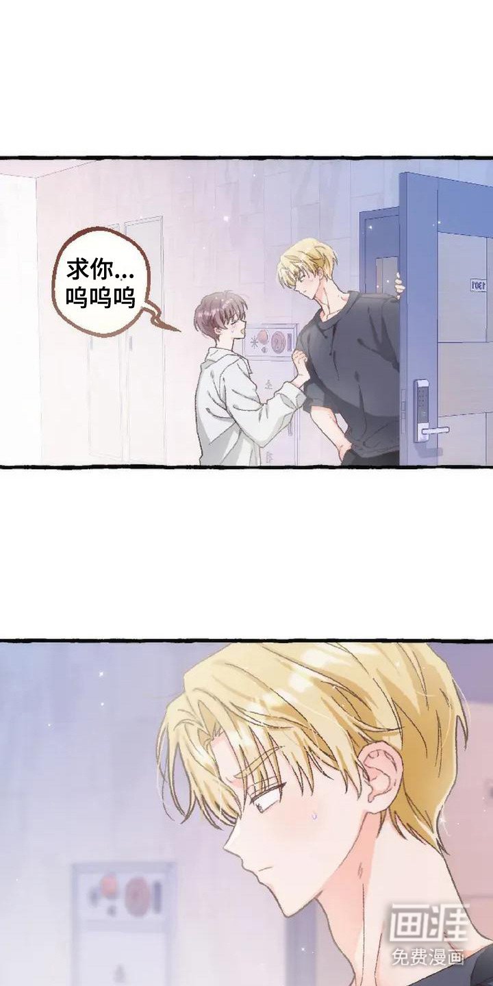 第6章：收留