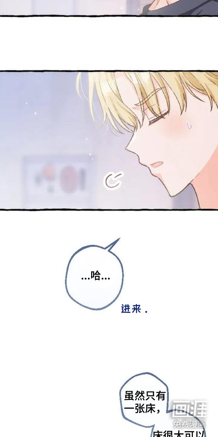 第6章：收留