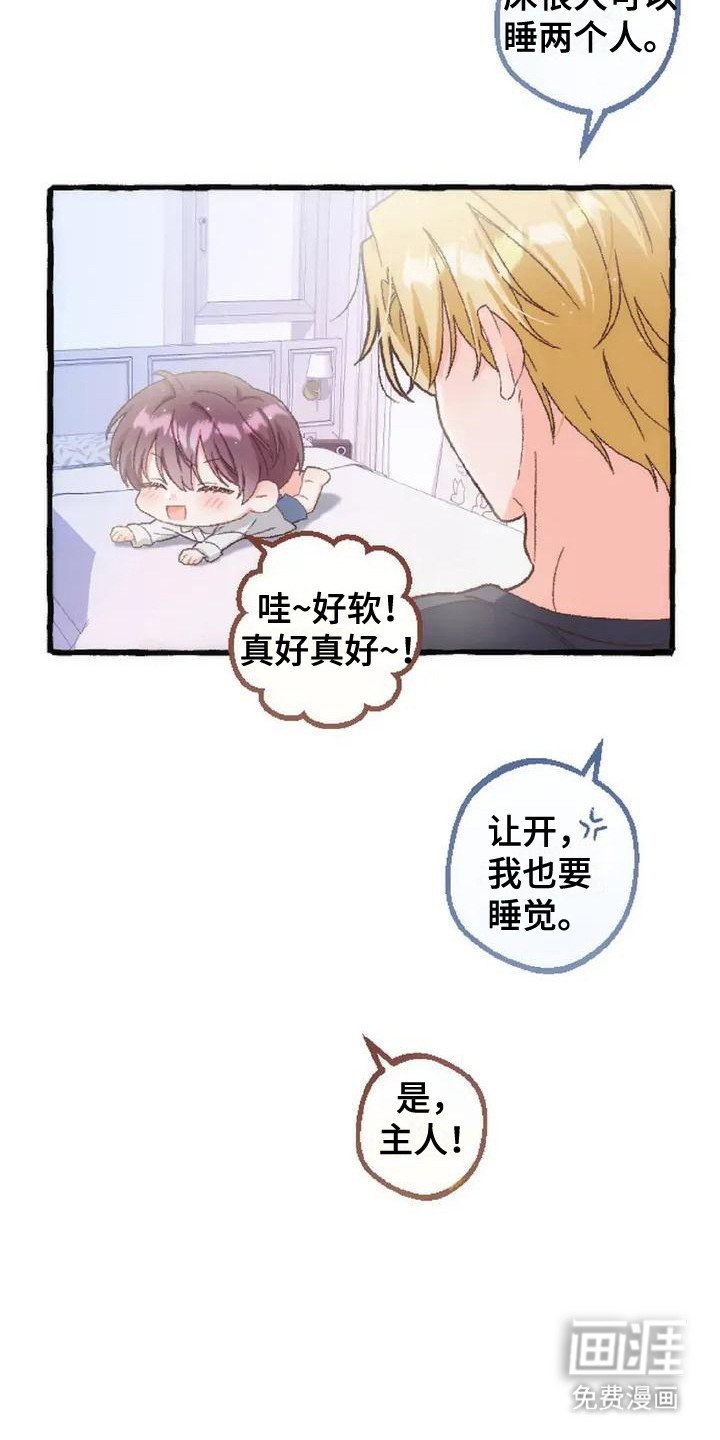 第6章：收留