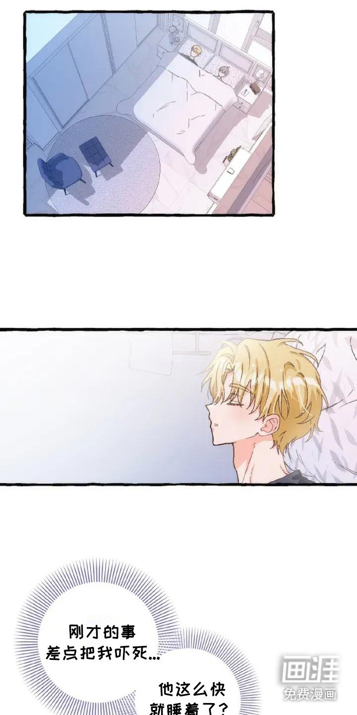 第6章：收留