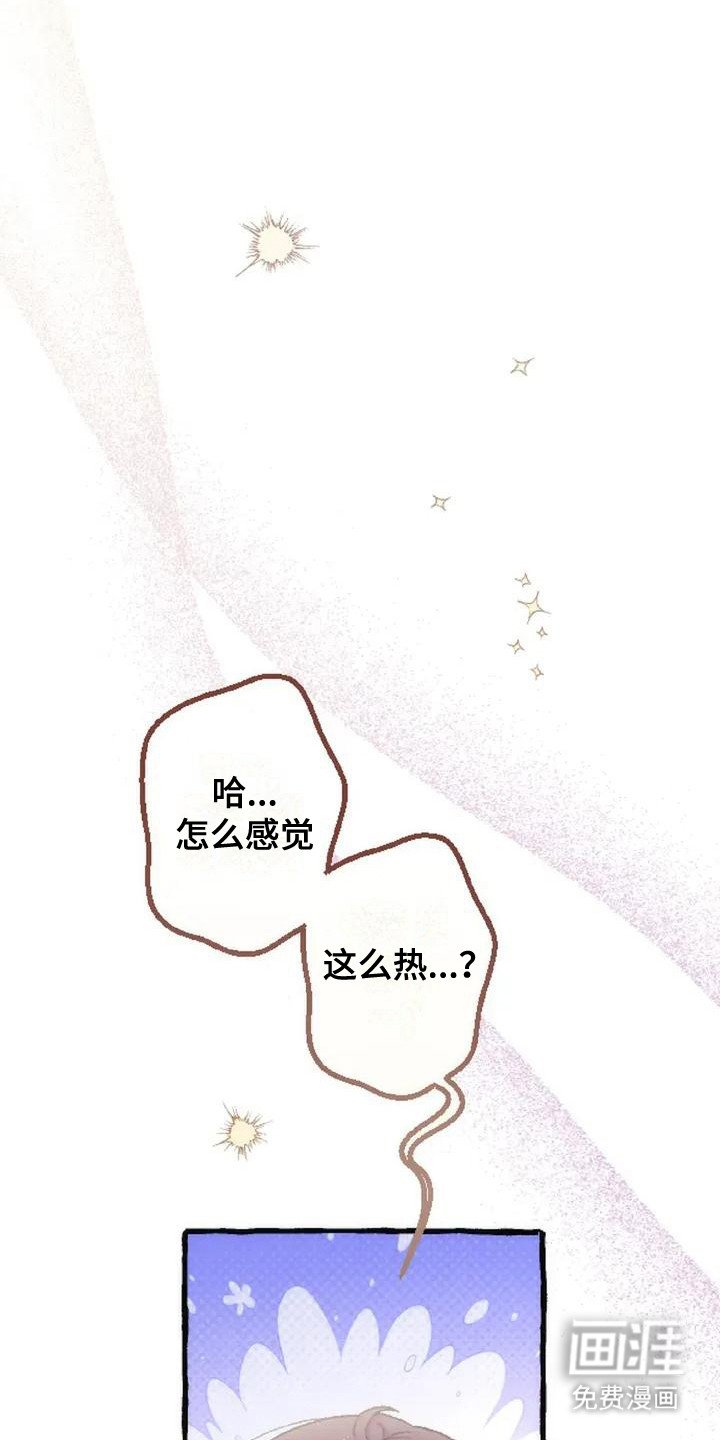 第6章：收留
