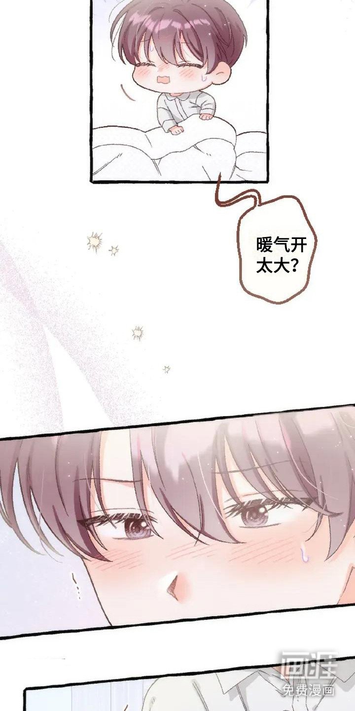 第6章：收留