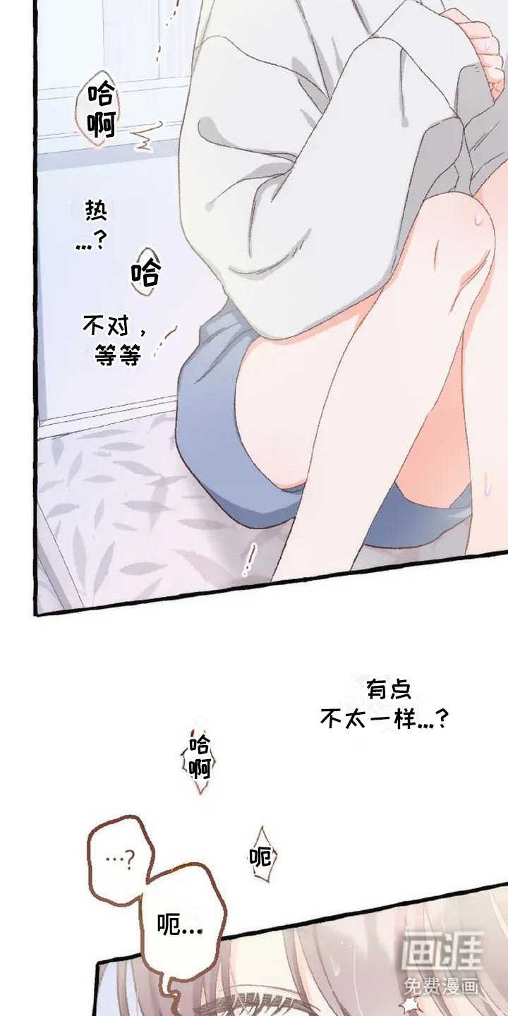 第6章：收留