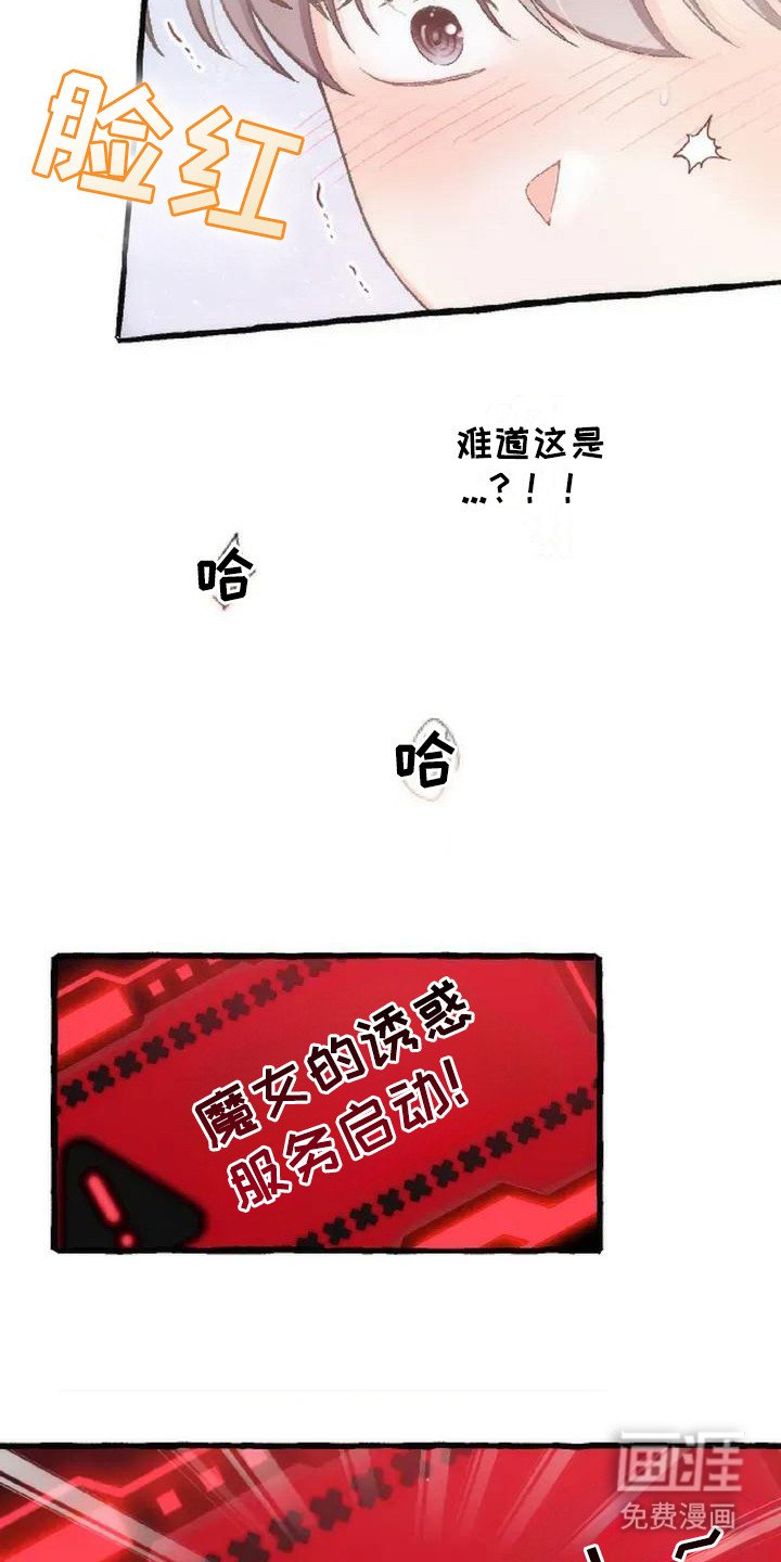第6章：收留