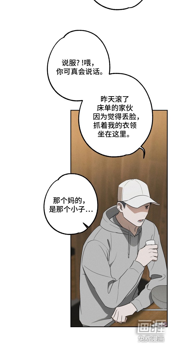 第17章：整理思绪