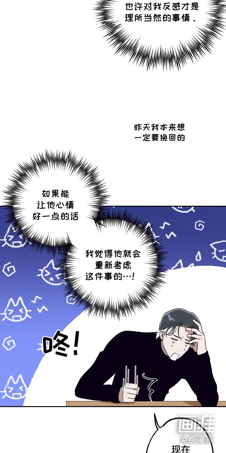 第17章：整理思绪