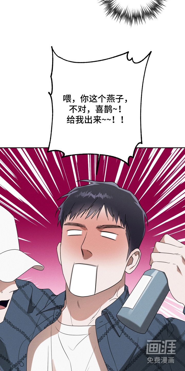 第17章：整理思绪