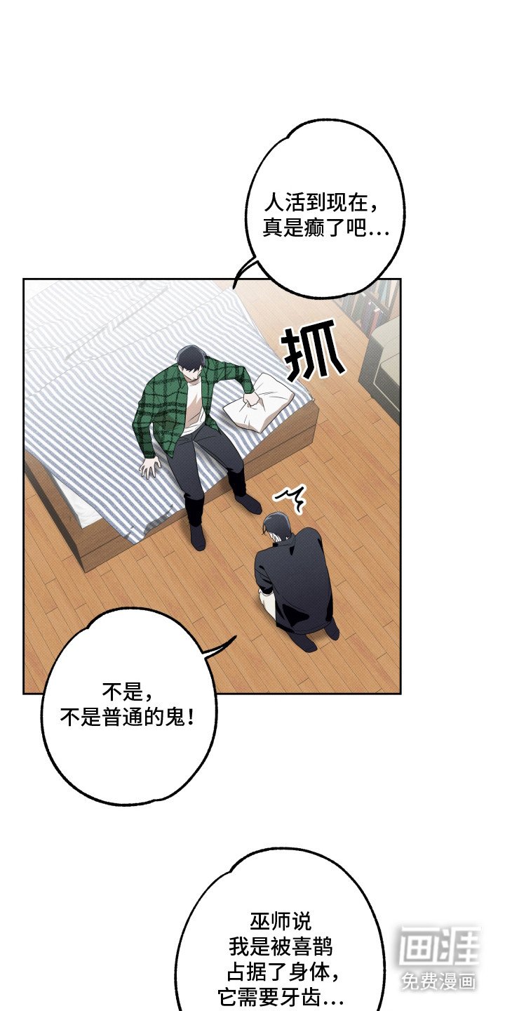 第4章：逞强