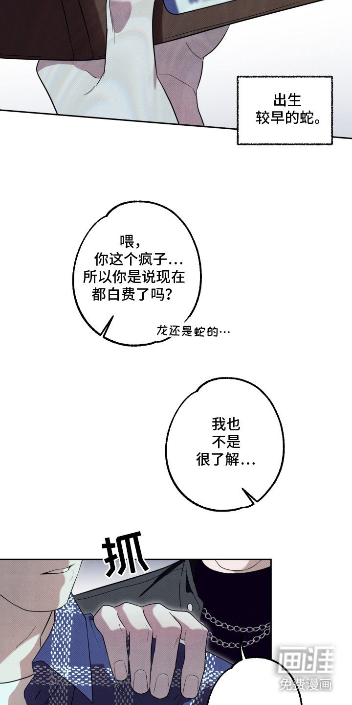第9章：属相不对