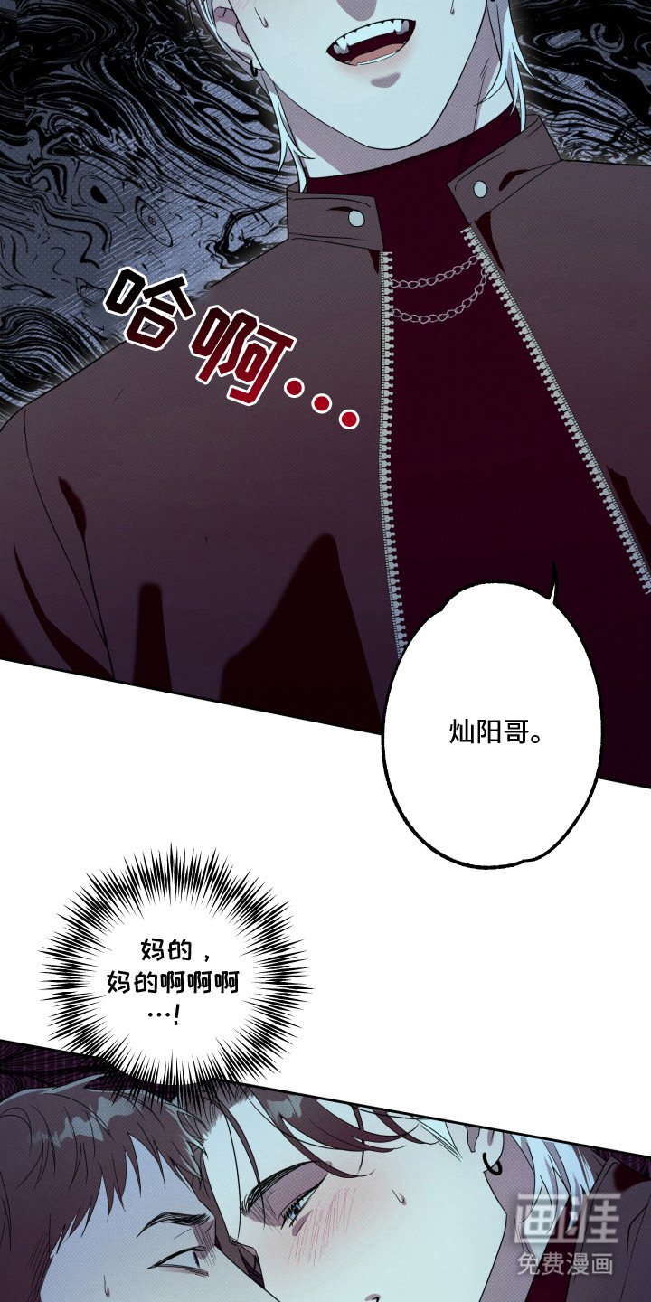 第9章：属相不对