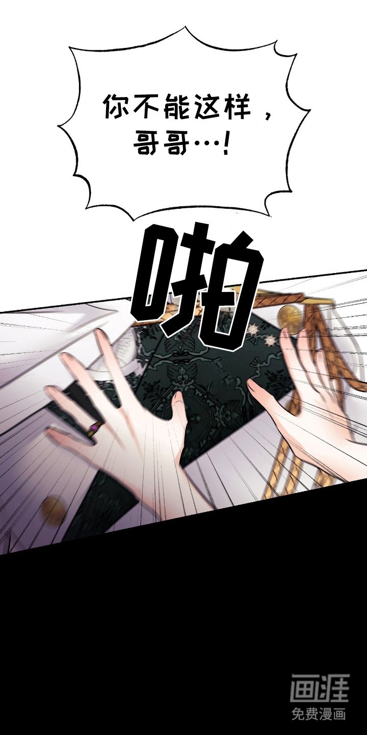 第15章：说明