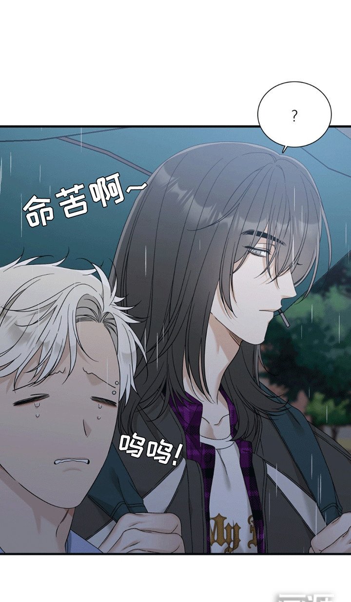 第12章：伤痕