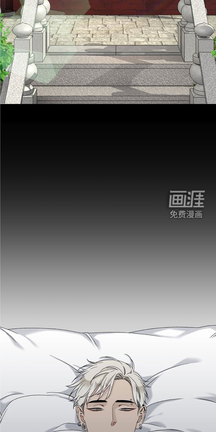 第22章：去哪了