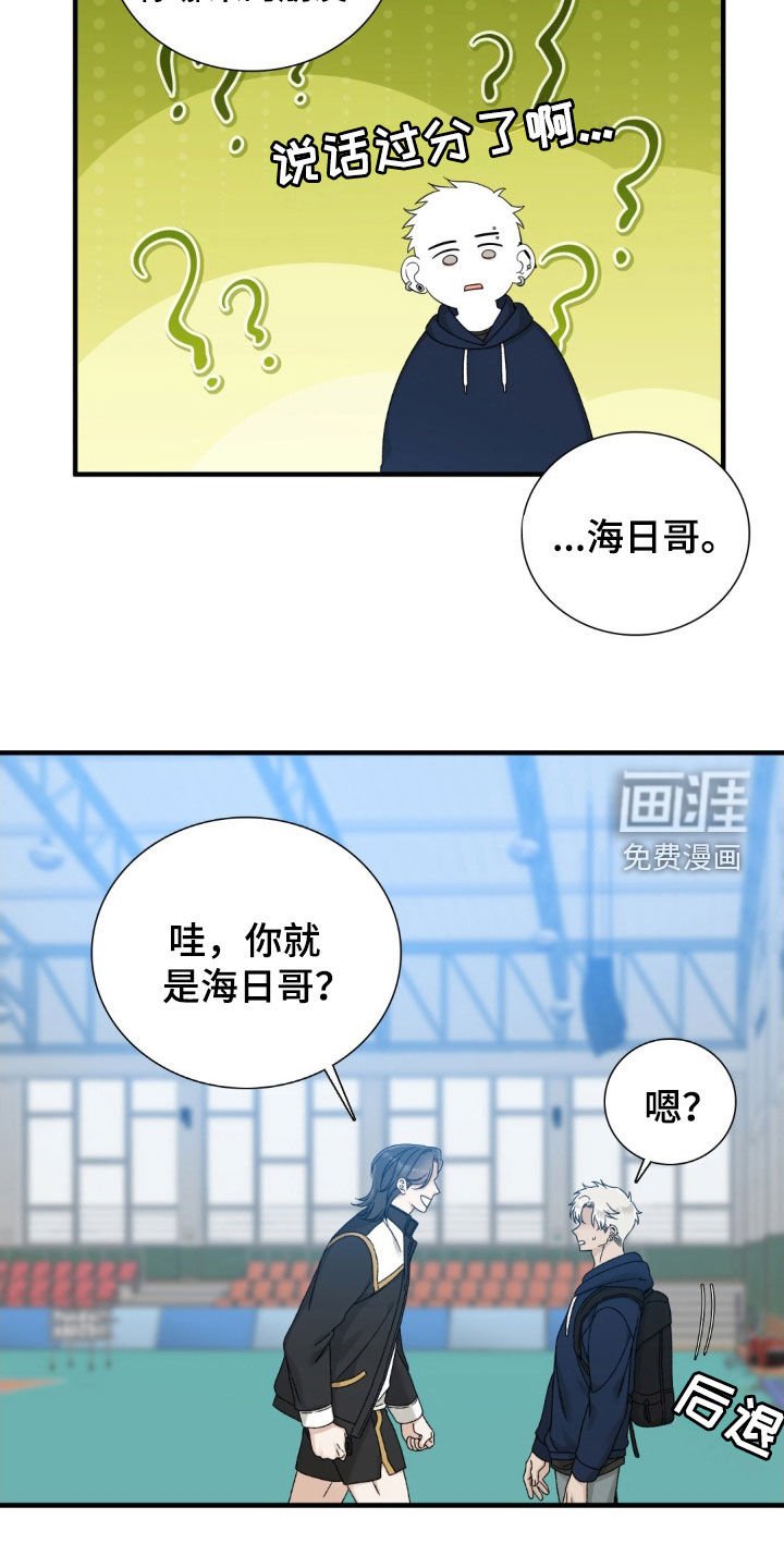 第31章：第一次见面