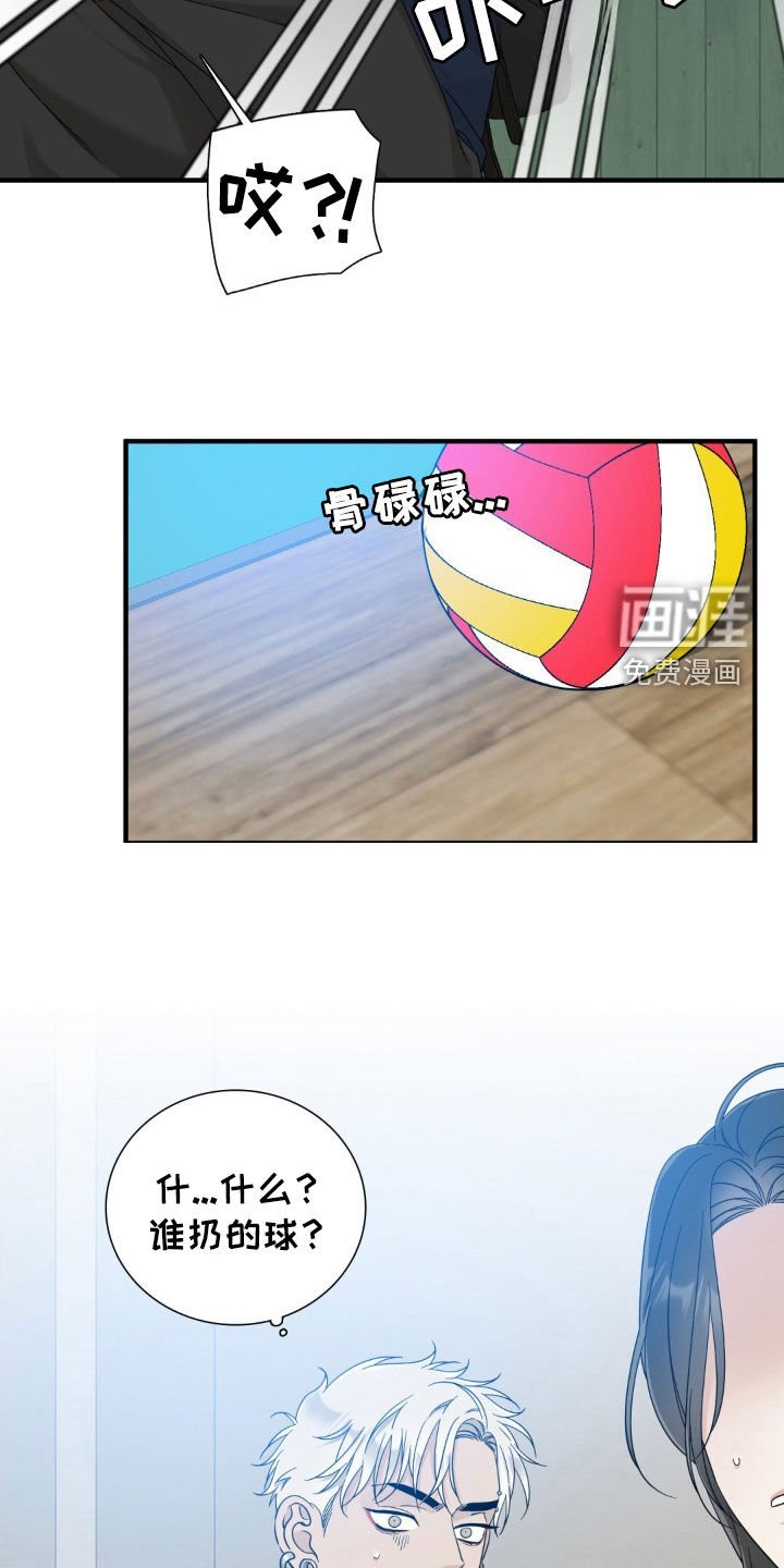 第32章：变化