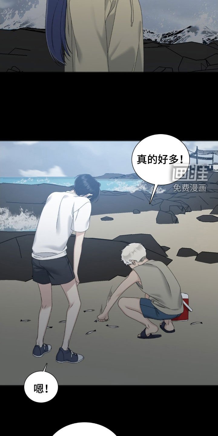 第52章：悲剧