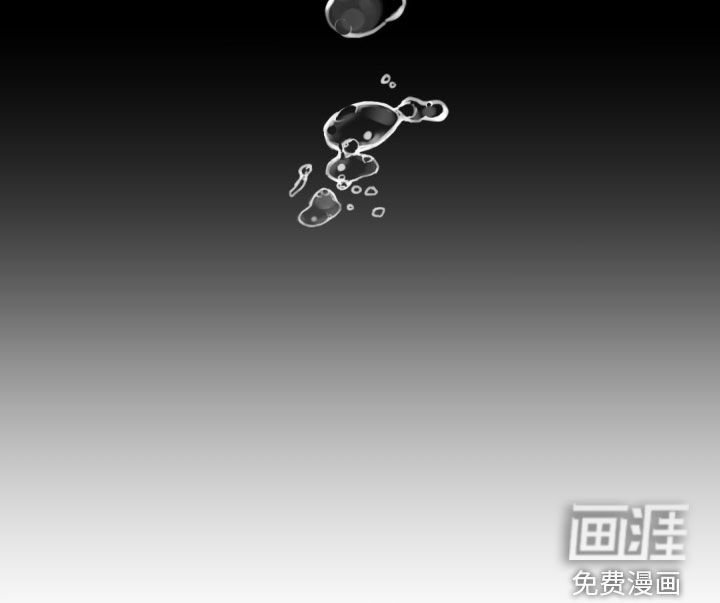 第52章：悲剧