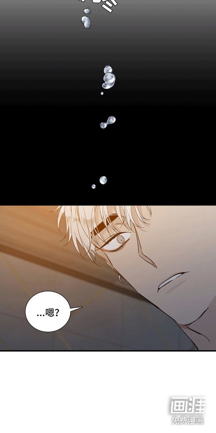 第8章：崩解
