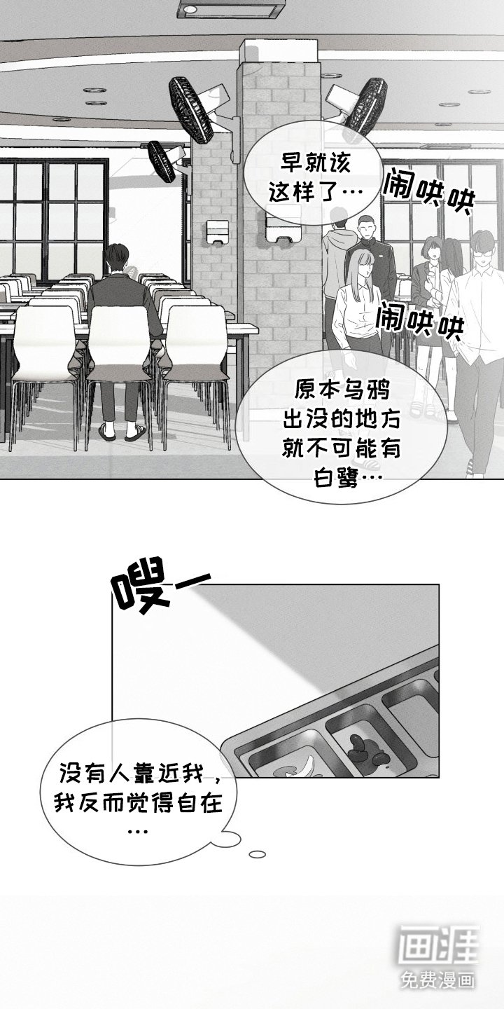 第15章：同志