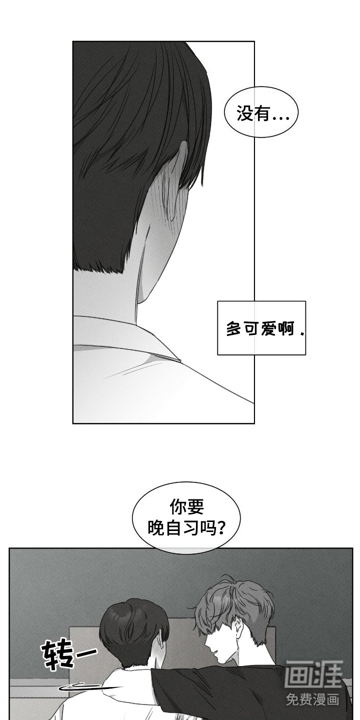 第20章：奇怪