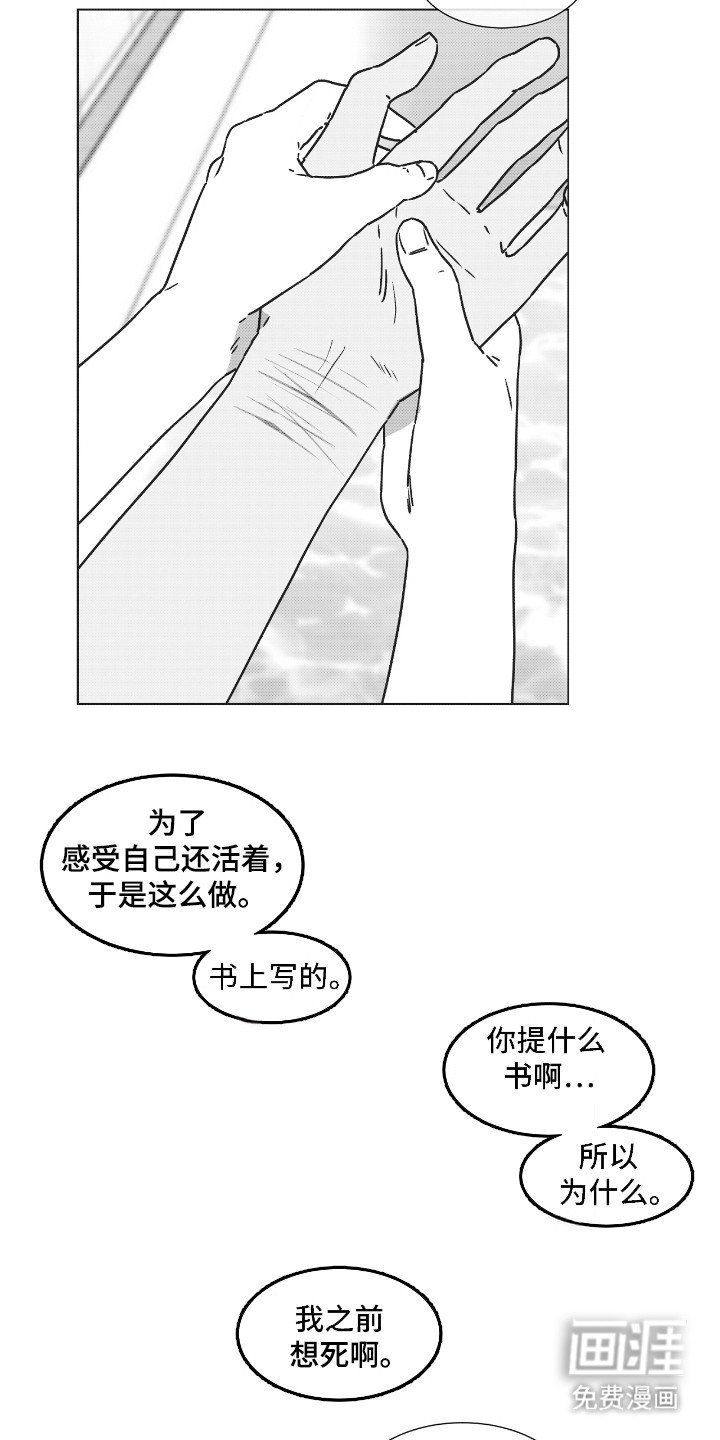 第39章：这是爱吗