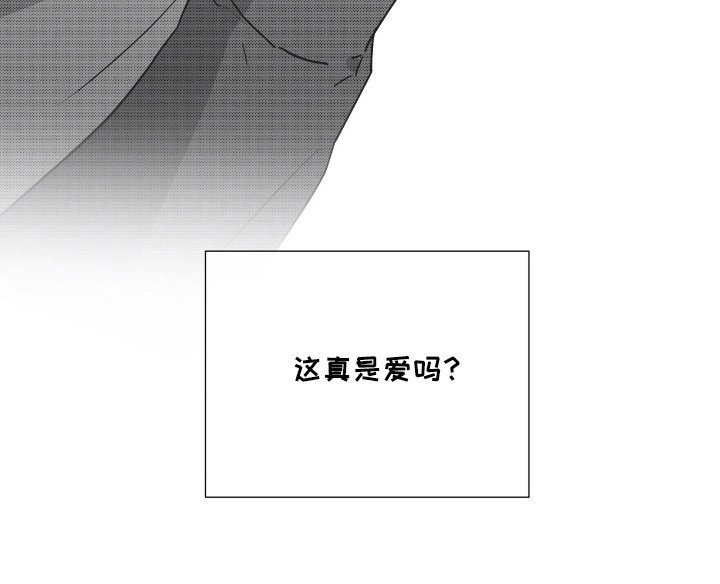 第39章：这是爱吗