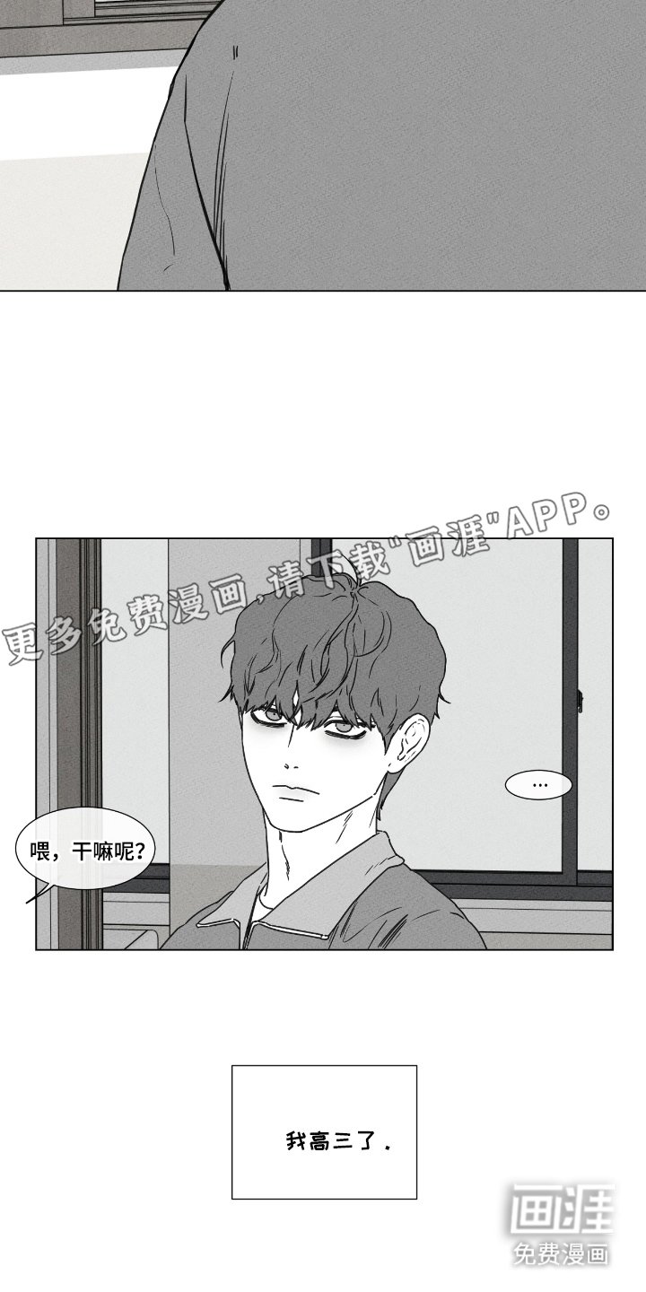 第44章：真心或试探
