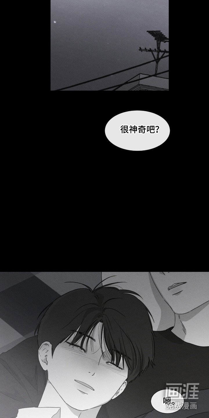 第46章：【第二季】联系消失