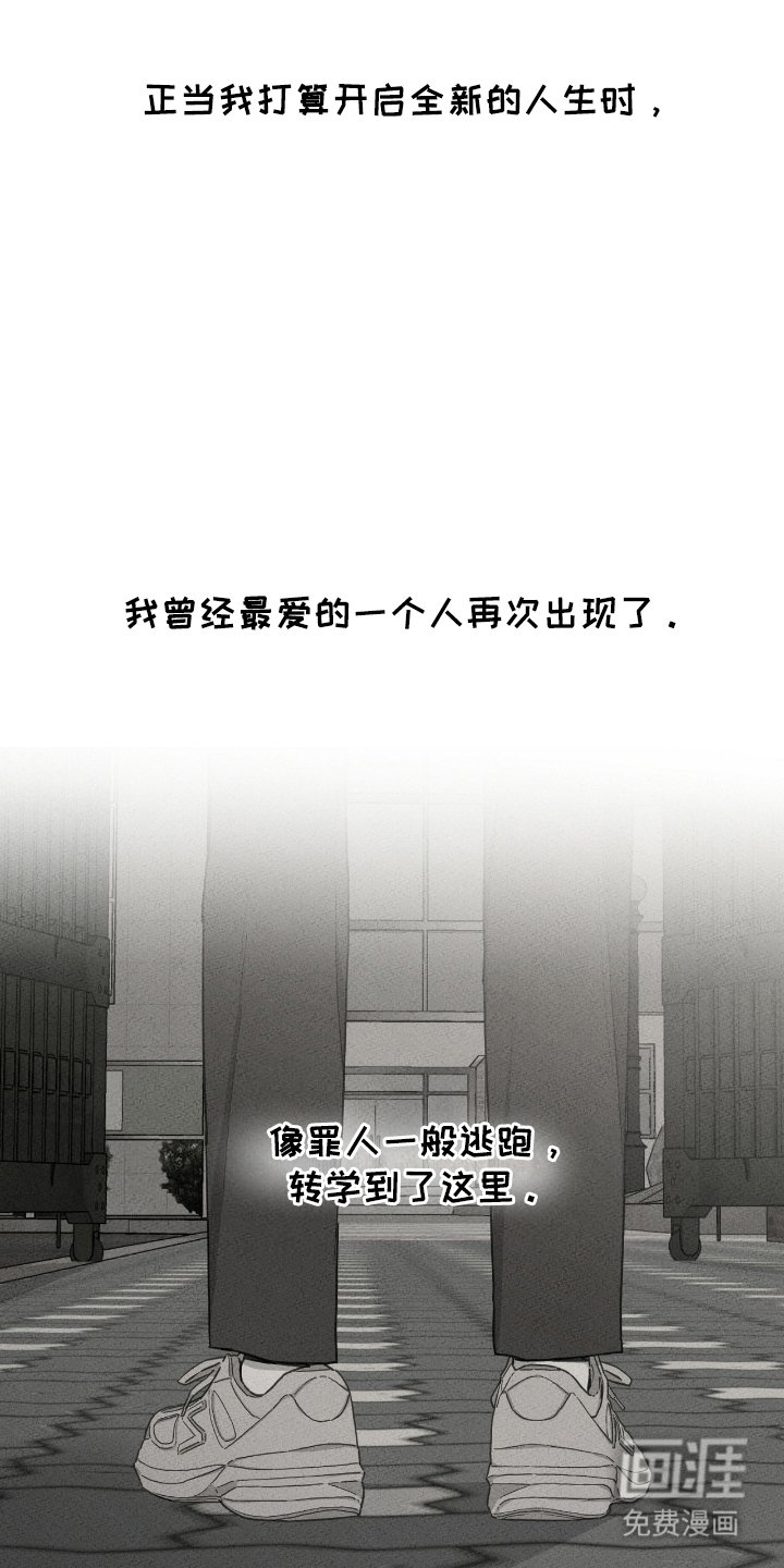 第9章：再次出现