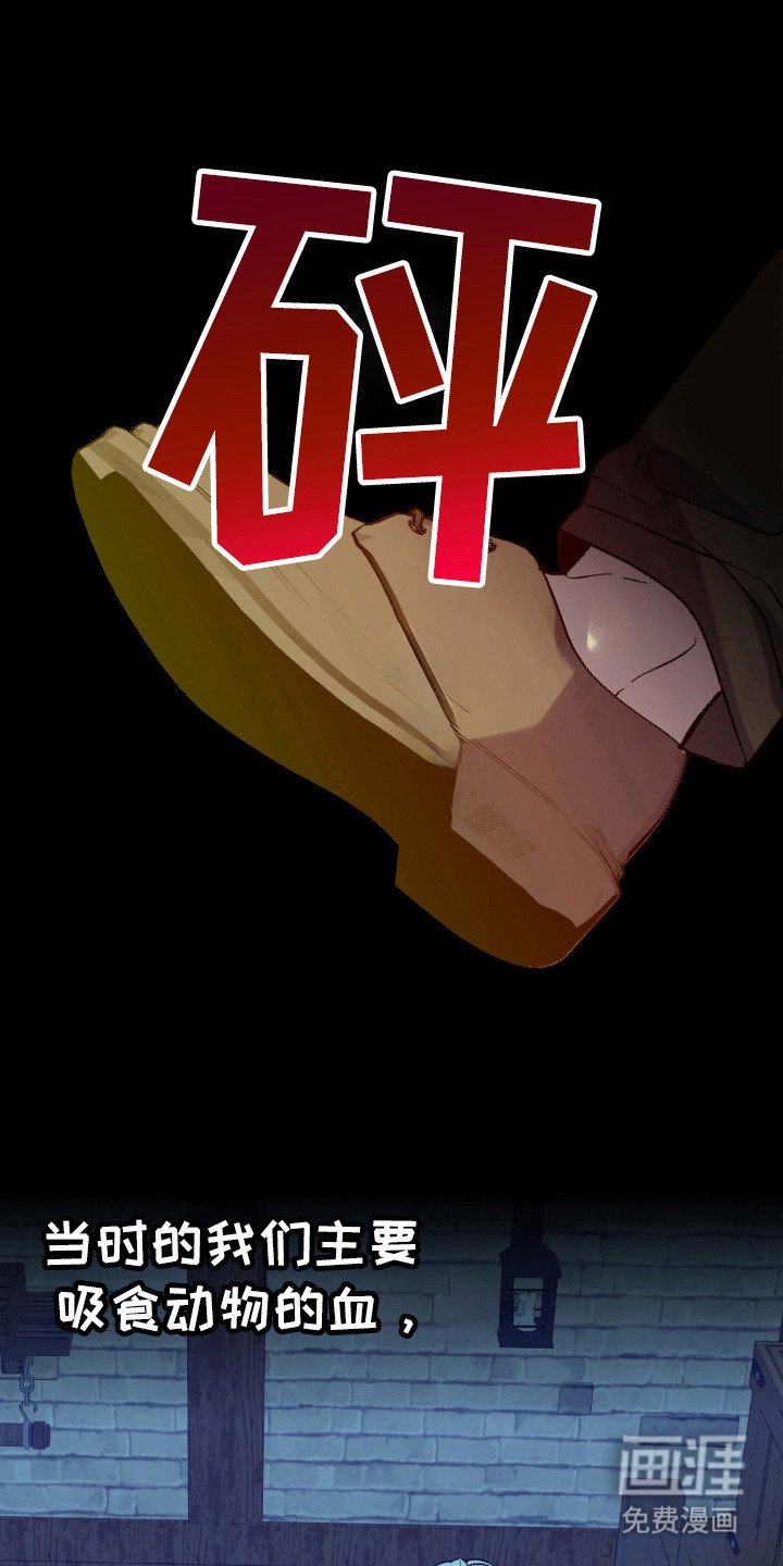 第11章：吸血鬼