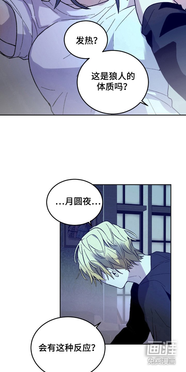 第14章：月圆夜
