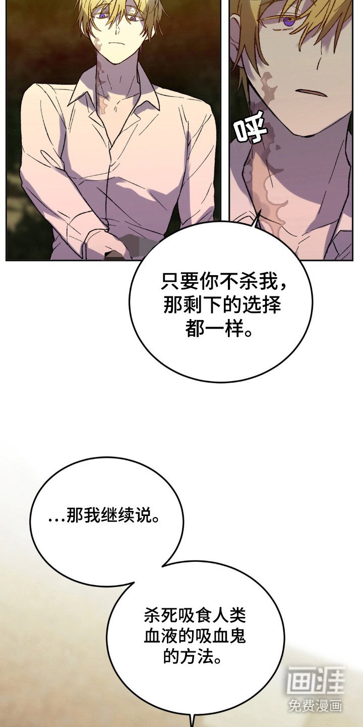 第17章：杀了我
