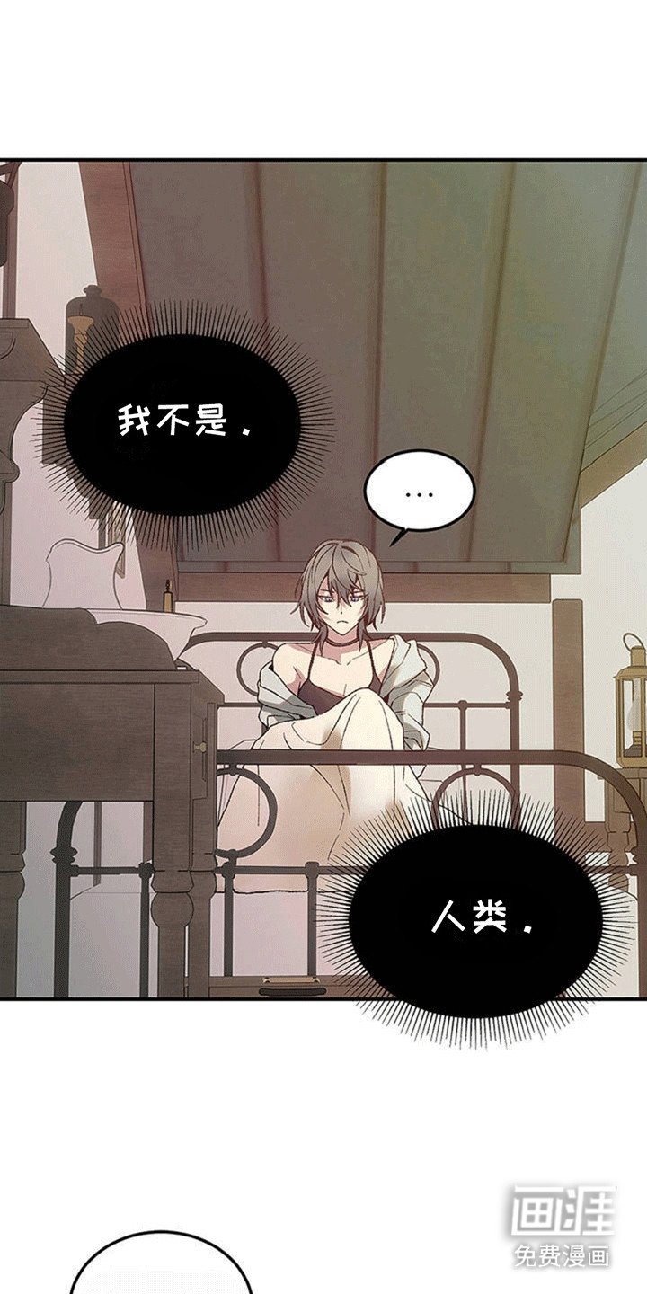 第3章：他的身份