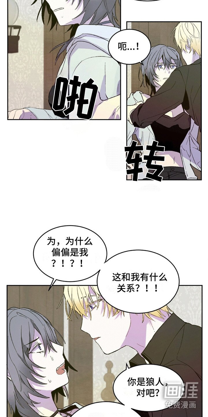第5章：失策