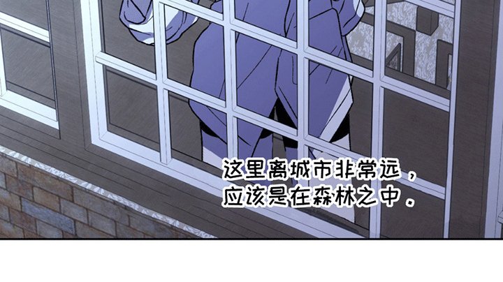 第7章：机会