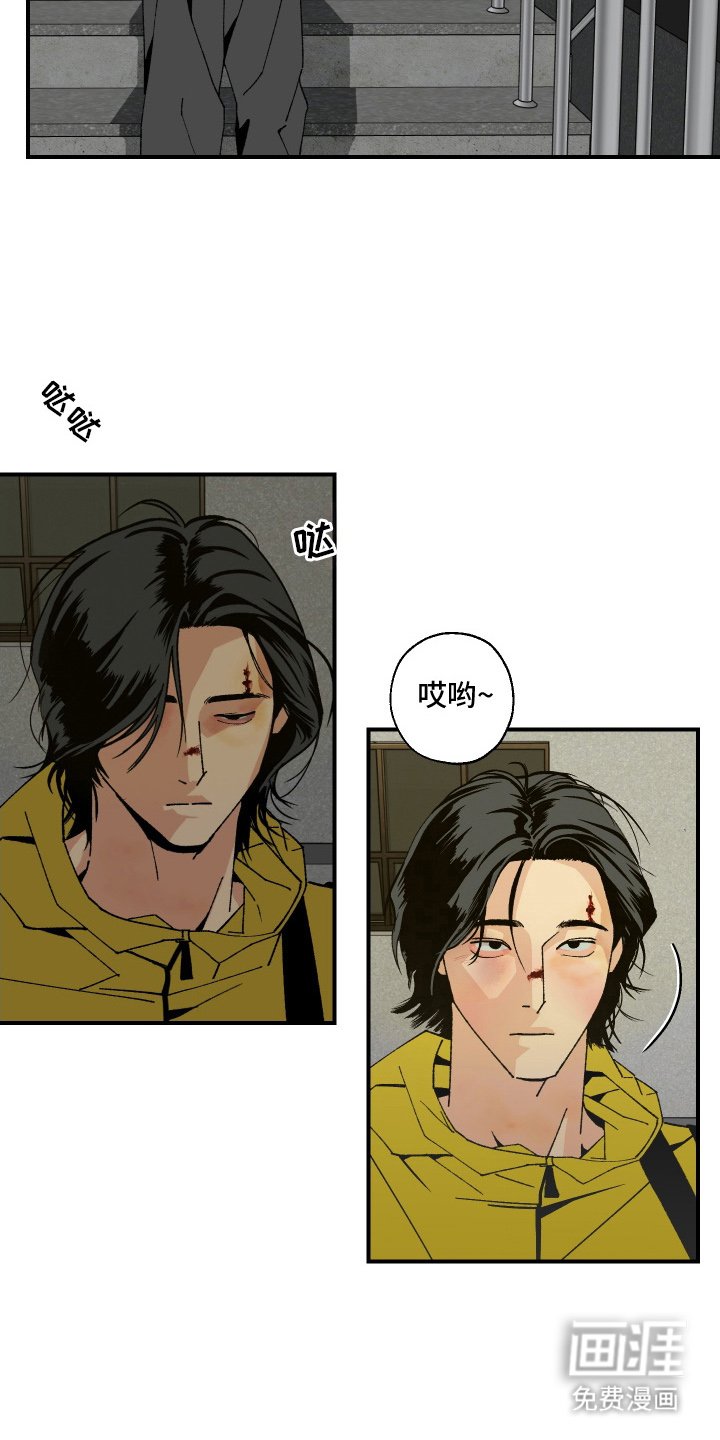 第11章：纠缠
