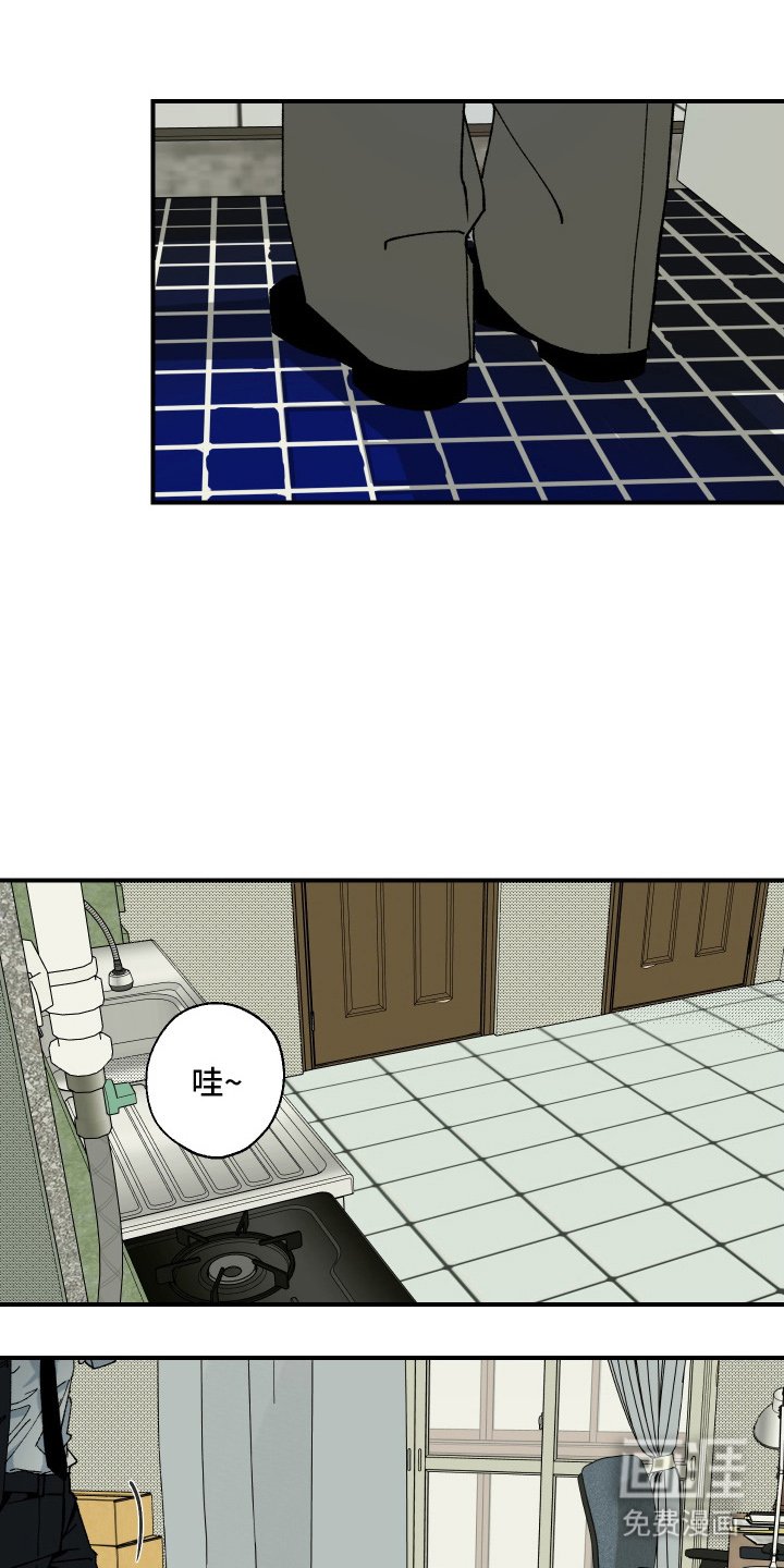 第5章：完全不一样