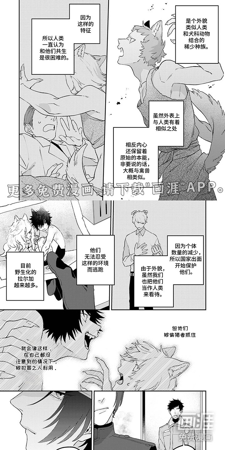 第1章：完美的人