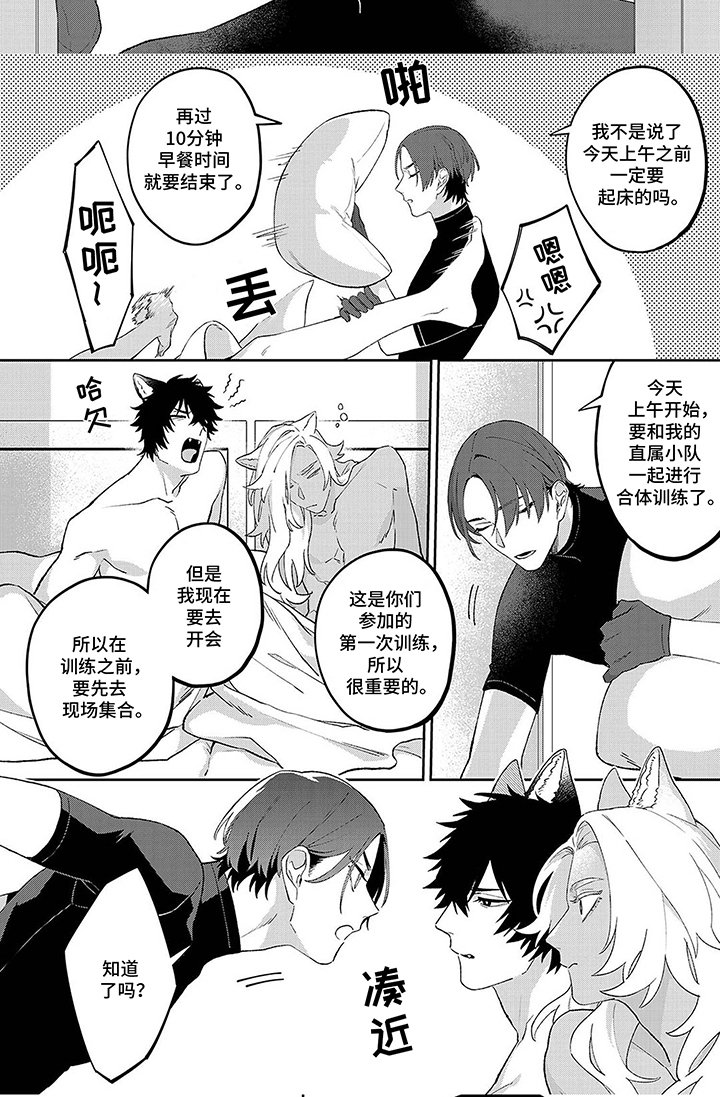 第13章：合体训练