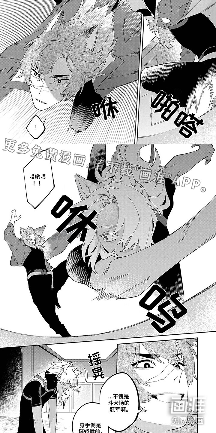 第14章：第一次训练
