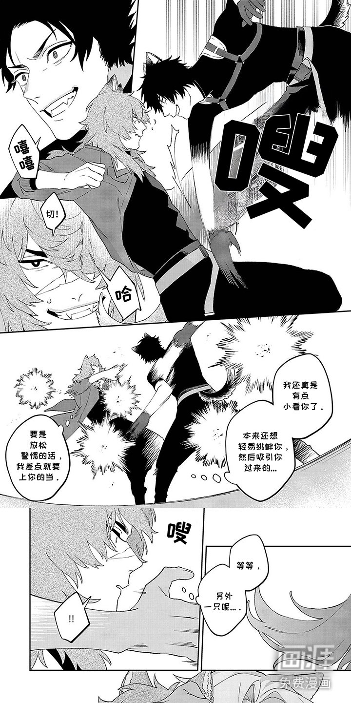 第15章：无法理解