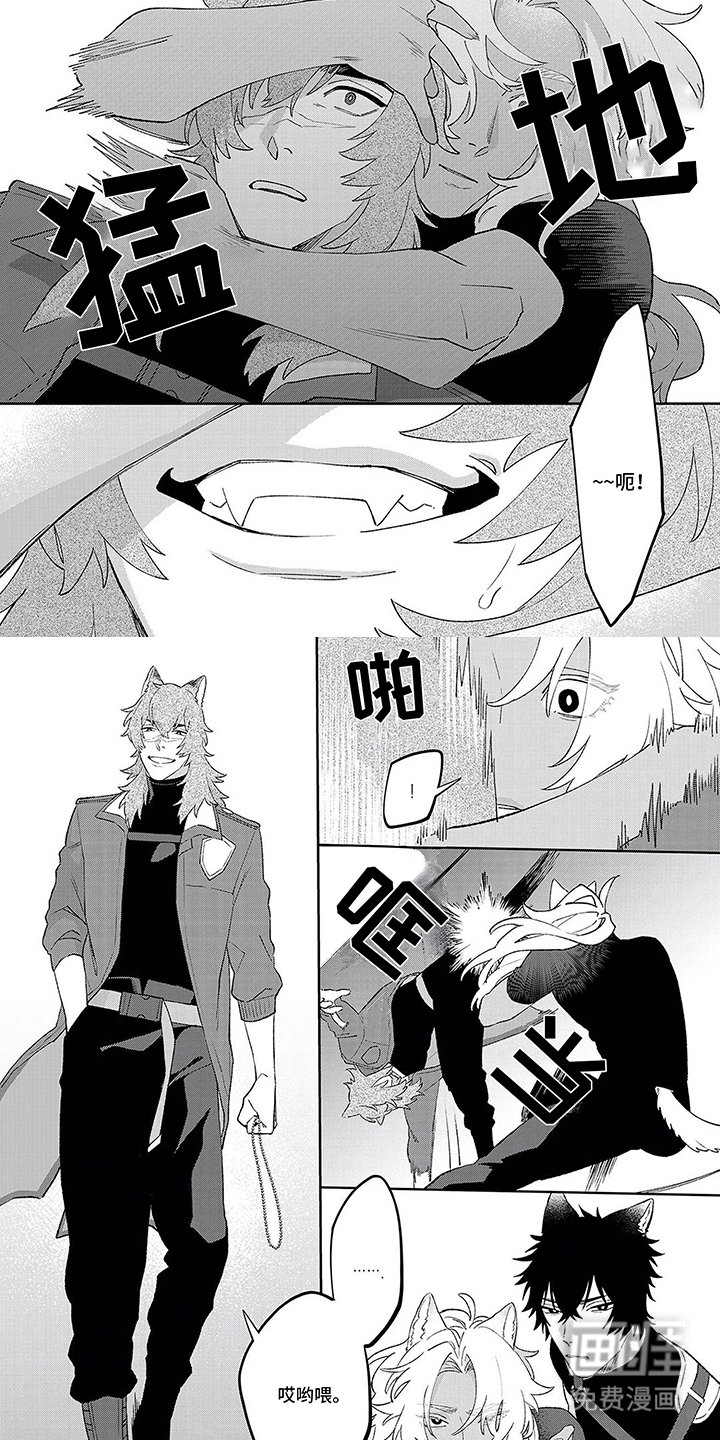 第15章：无法理解