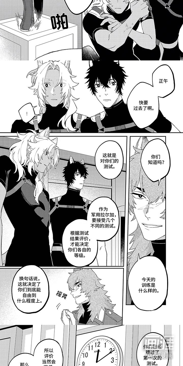 第15章：无法理解
