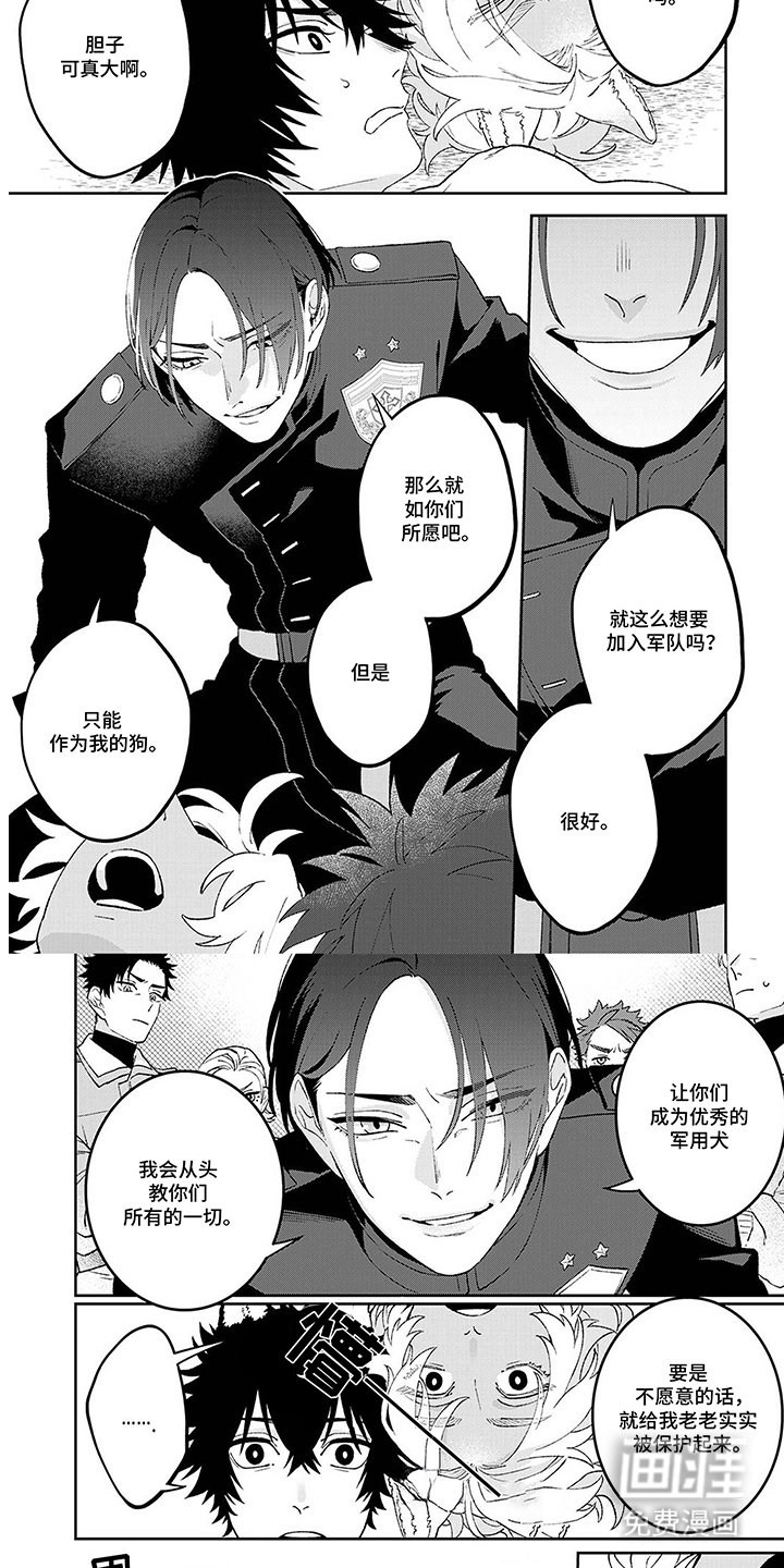 第3章：军用犬