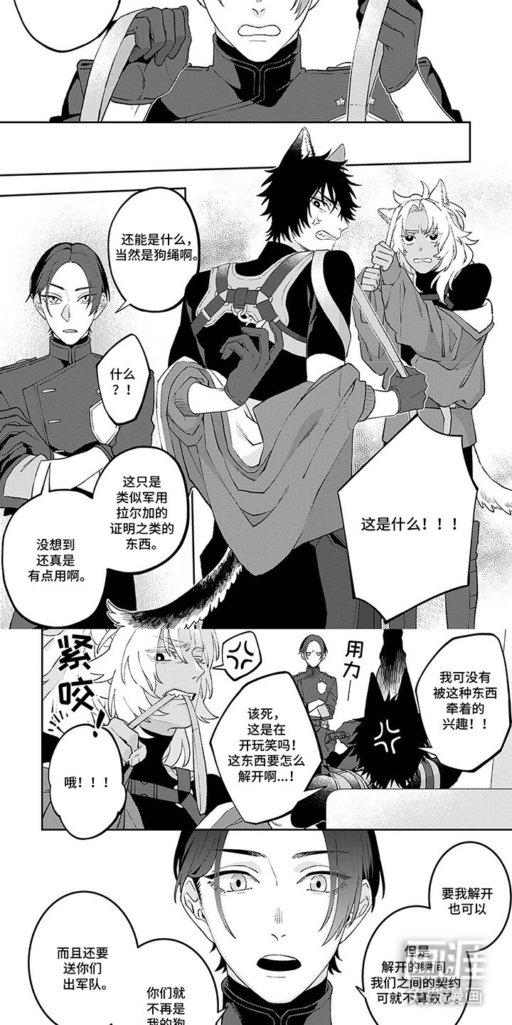 第6章：无可救药